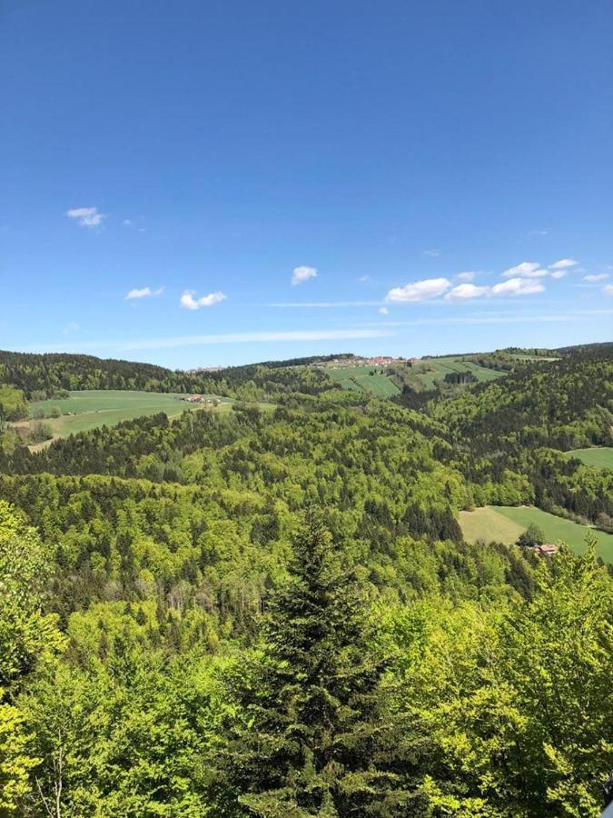 Ferienhaus Bayerwald Ringelai Bagian luar foto